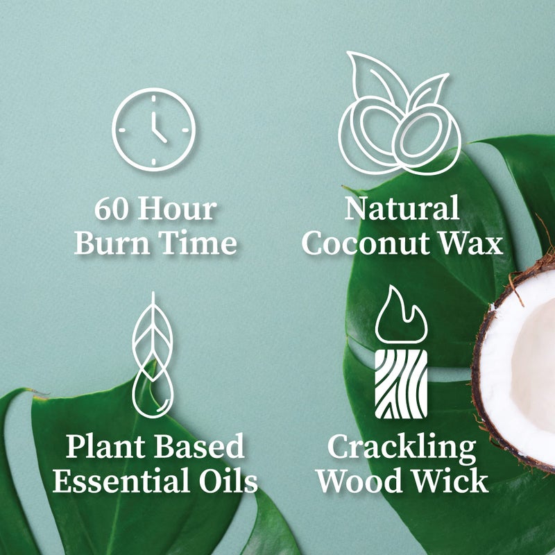 Hemlock Park Crackling Wood Wick Candle Handcrafted with Natural Coconut Wax (Standard 8 oz, Bamboo Grapefruit) - Image 4